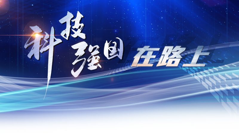 数据湖与数仓：揭秘企业大数据存储的两大核心